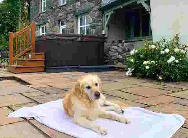 A dog sat on a towel outside the lakeside cottage at Brynteg Holiday Park in North Wales