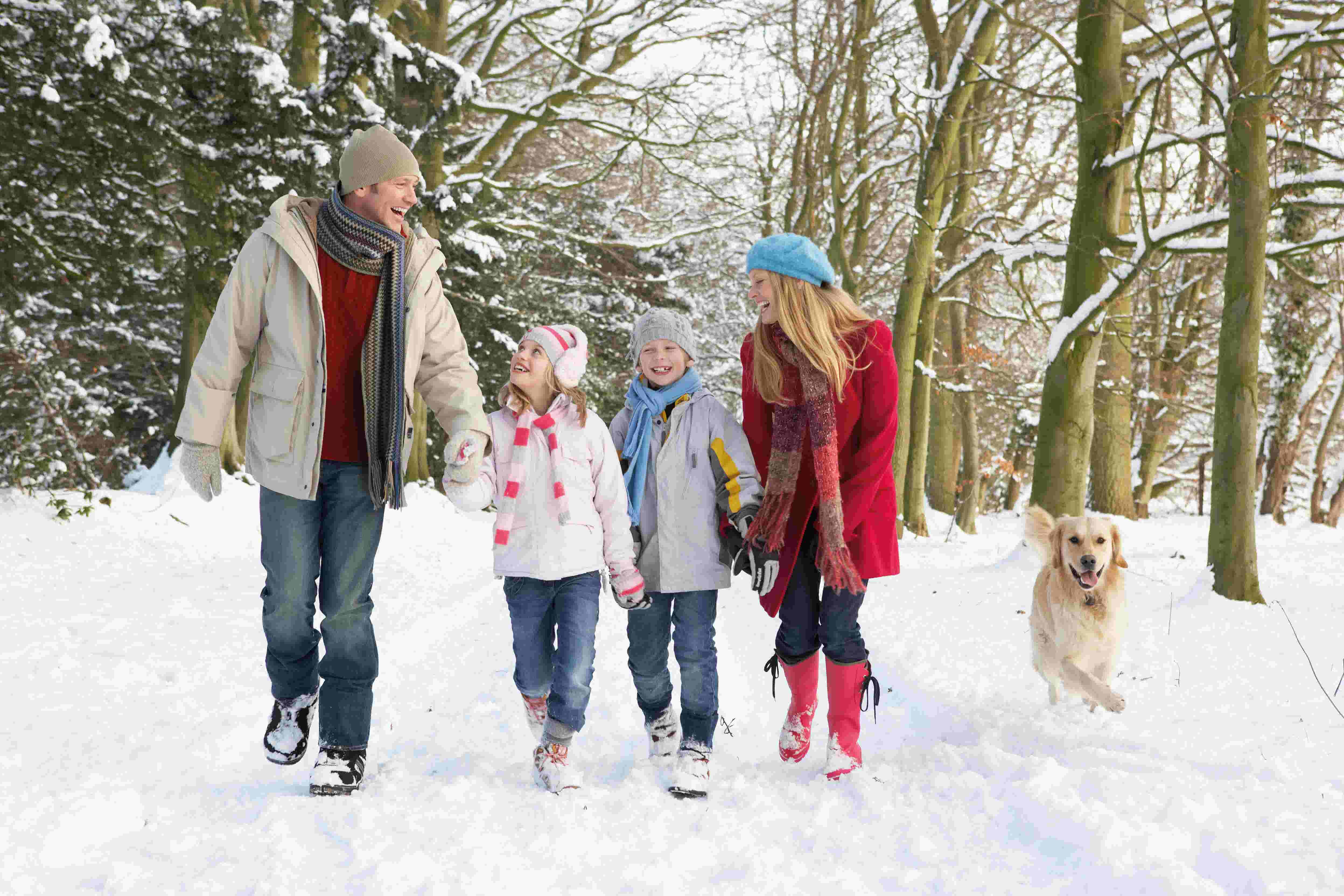Family walking in the snow with a dog
