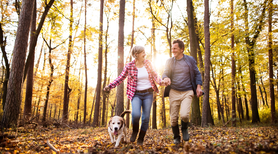 A couple walking a dog through the woods