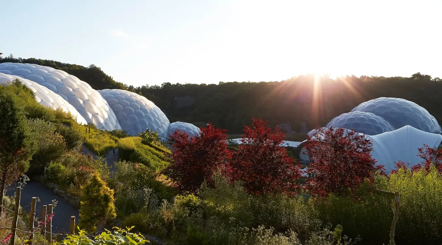 The Eden Project 