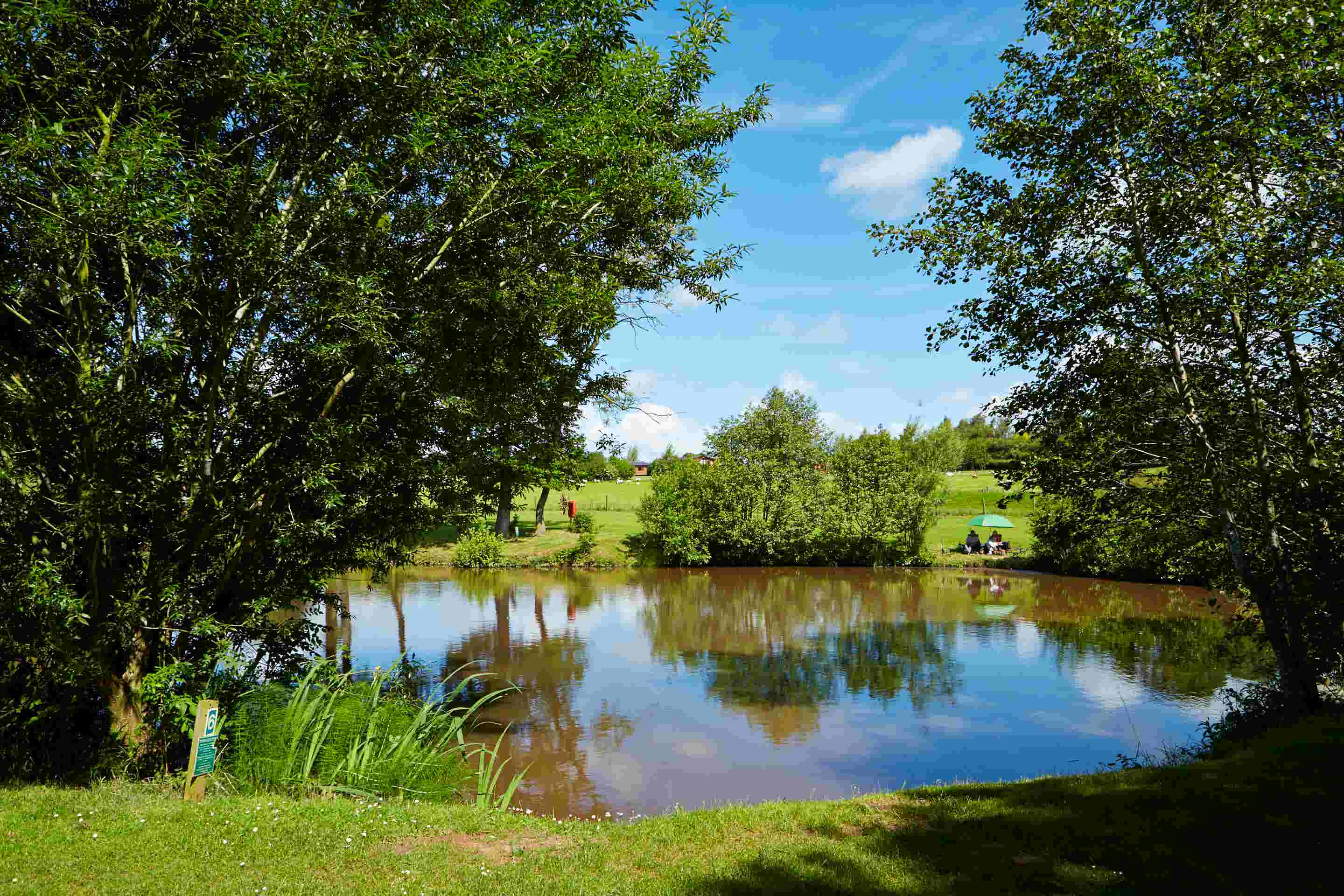 View of a fishing lake at Malvern View