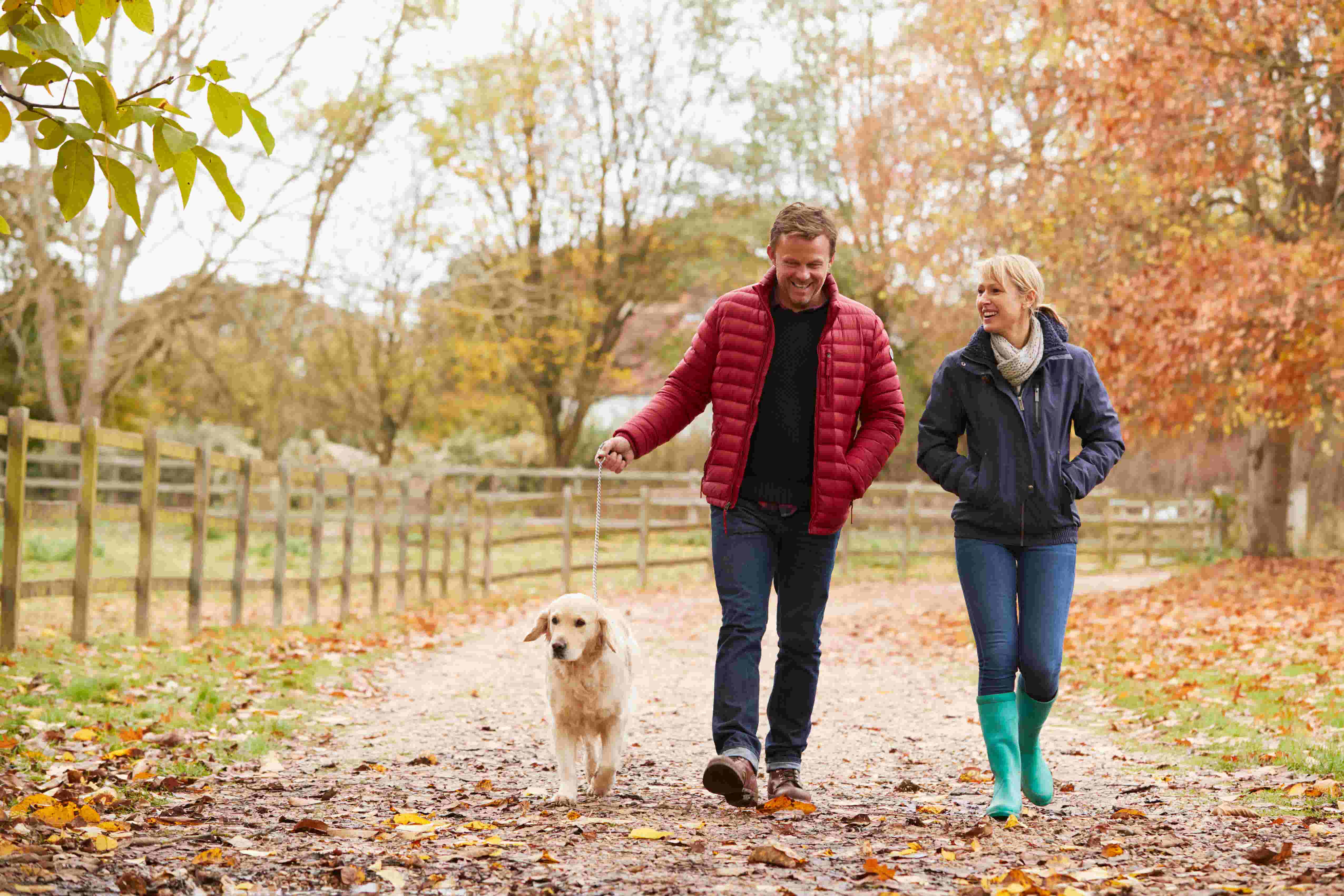 Couple with a dog walking through a wood in autumn