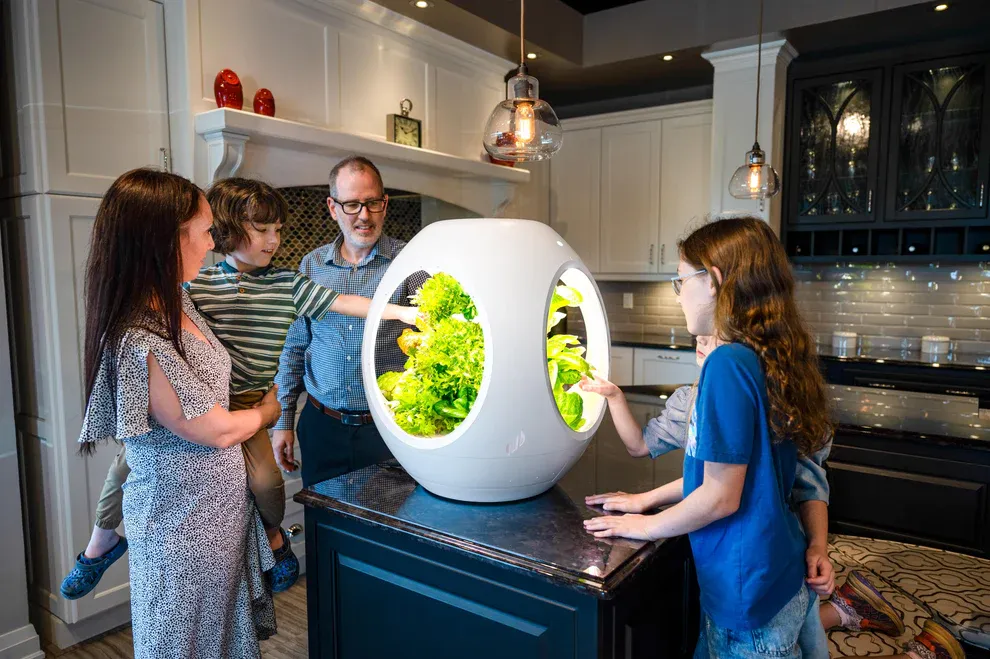 platifrom.jpg platifrom.jpg