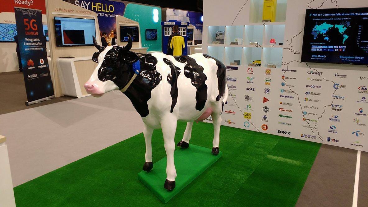 Telepathy Cow We’ll connect a billion cows to the internet – Huawei CEO