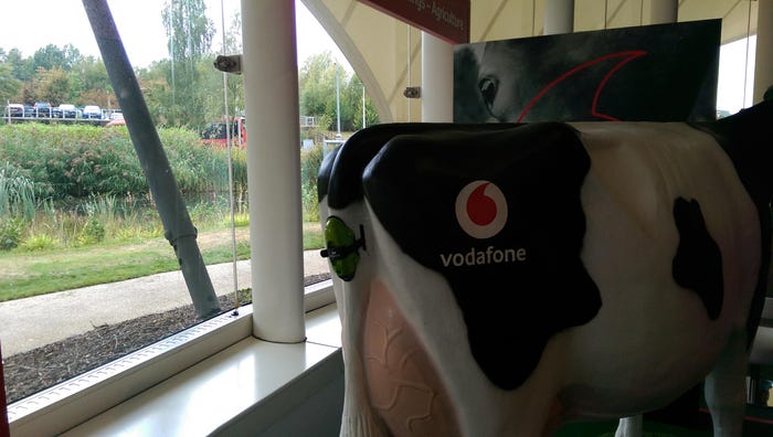Vodafone-Cow.jpg