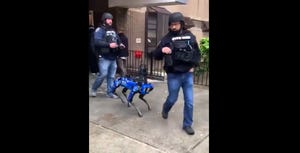 Spot the dystopia as robot dogs patrol New York streets