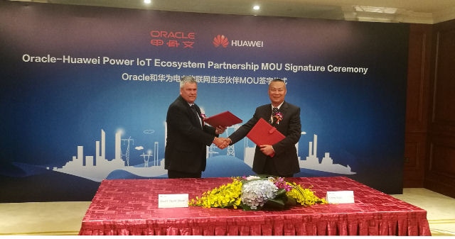Huawei gets into bed with Oracle to help flog IoT to utilities