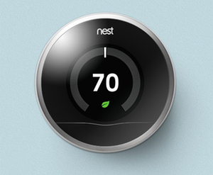 Nest developer programme connects to wider Internet of Things