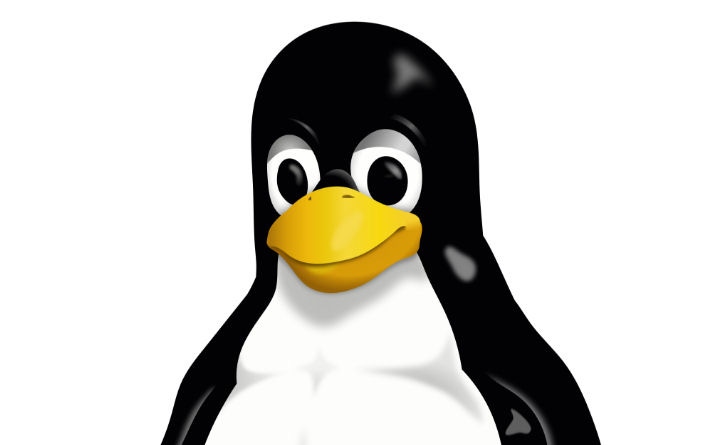 Linux appoints telecoms veteran to lead networking push