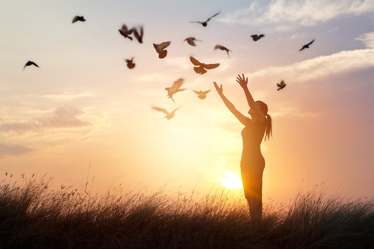 Going private sets us free – Rackspace CTO Going private sets us free – Rackspace CTO