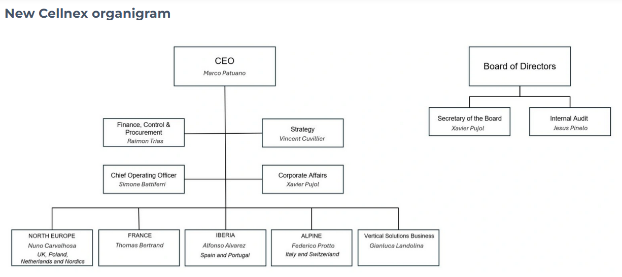 Cellnex reorg focuses on organic growth, again