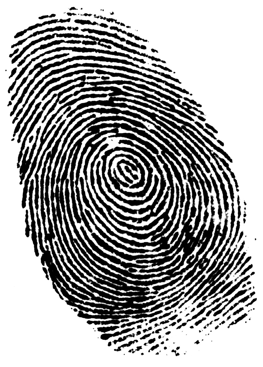 30% of organisations to use biometric security on mobile devices by 2016