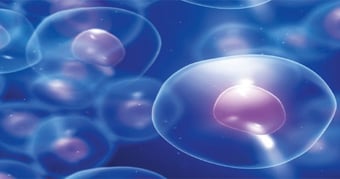 Small cell maturity raises management issues