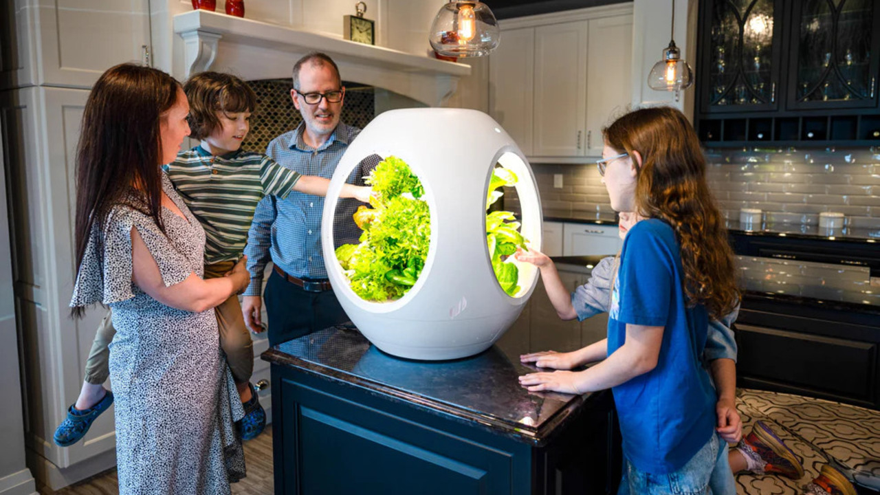 CES 2025 roundup computing, smarthome, and weirdo gadgetry highlights