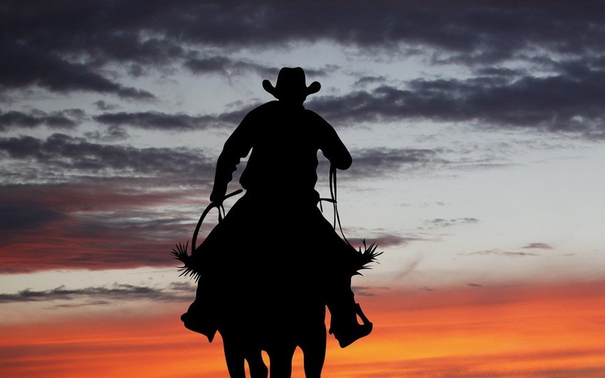 Infographic: AT&T network investments shows it loves cowboys and hates grunge
