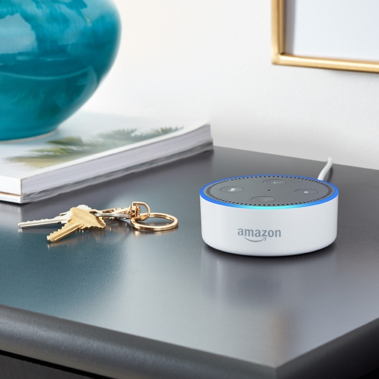 Alexa, with your new calling feature, what’s the point of a landline?