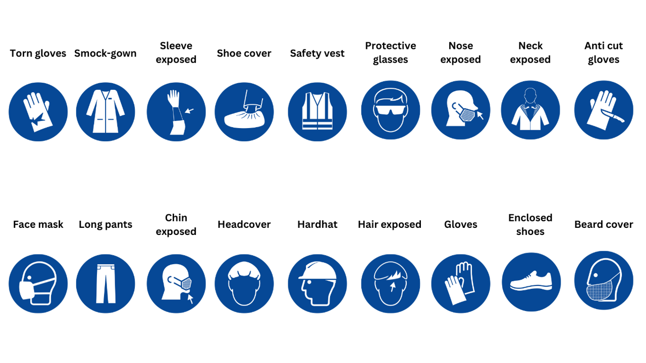 PPEs_in_canva_all_new_17.11.2024.png