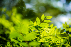 generic-media-pages-uk-19273-environmental-3-0.webp