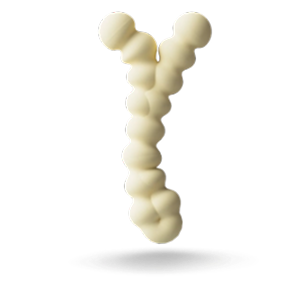 Y-shaped molecular structure made of connected beige spherical atoms against white background