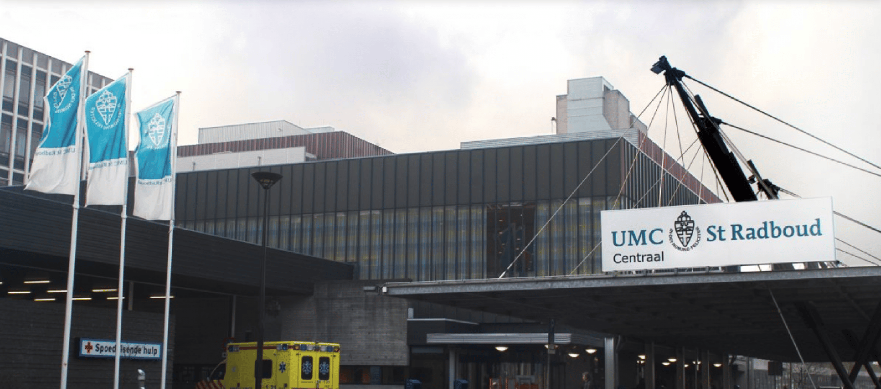 LMPAH-expert-centra-radboud-umc-header LMPAH-expert-centra-radboud-umc-header