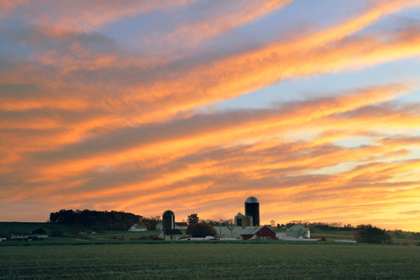 Remember, sustainability still needs to feed 10 billion people