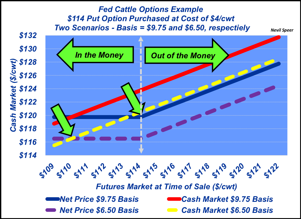 How Futures Work: Options and risk management