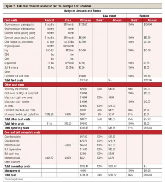 Tips For Setting Up A Cow Lease
