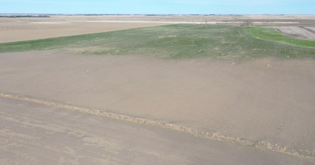 Forage matters: An accelerated spring