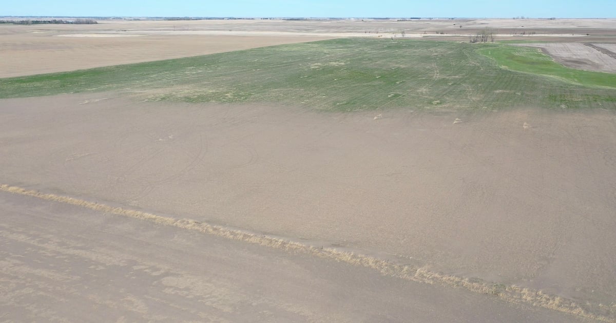 Forage matters: An accelerated spring