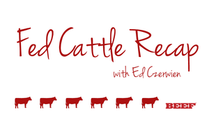 Fed Cattle Recap | What goes up eventually comes down