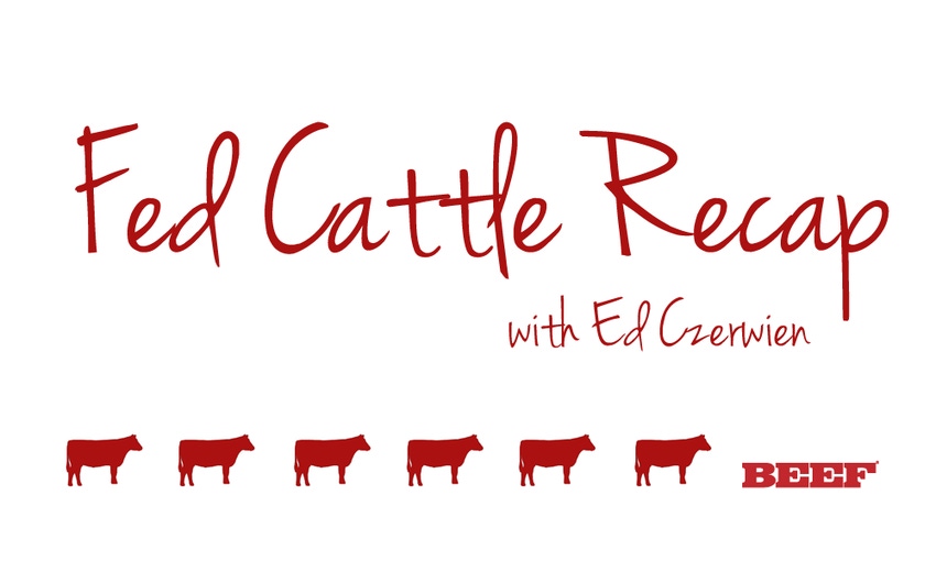 Fed Cattle Recap | What goes up eventually comes down