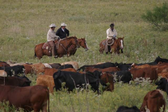 It’s a great time to be in agriculture