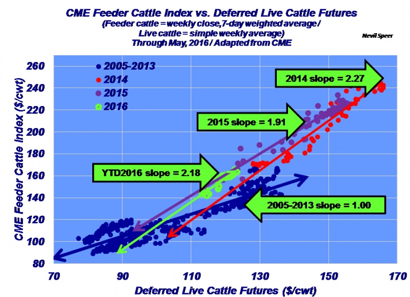Relatively speaking, the feeder cattle market remains fairly steep