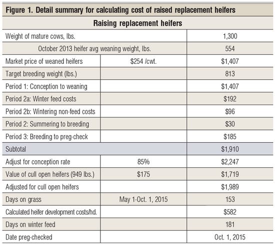 calculating cowherd costs