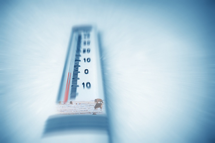 Extreme Weather Prep: How To Help Your Cowherd Weather A Natural Disaster Extreme Weather Prep: How To Help Your Cowherd Weather A Natural Disaster