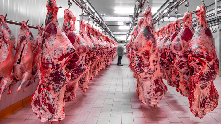 Mr. President, it's time to 'break the back of those processing plants'