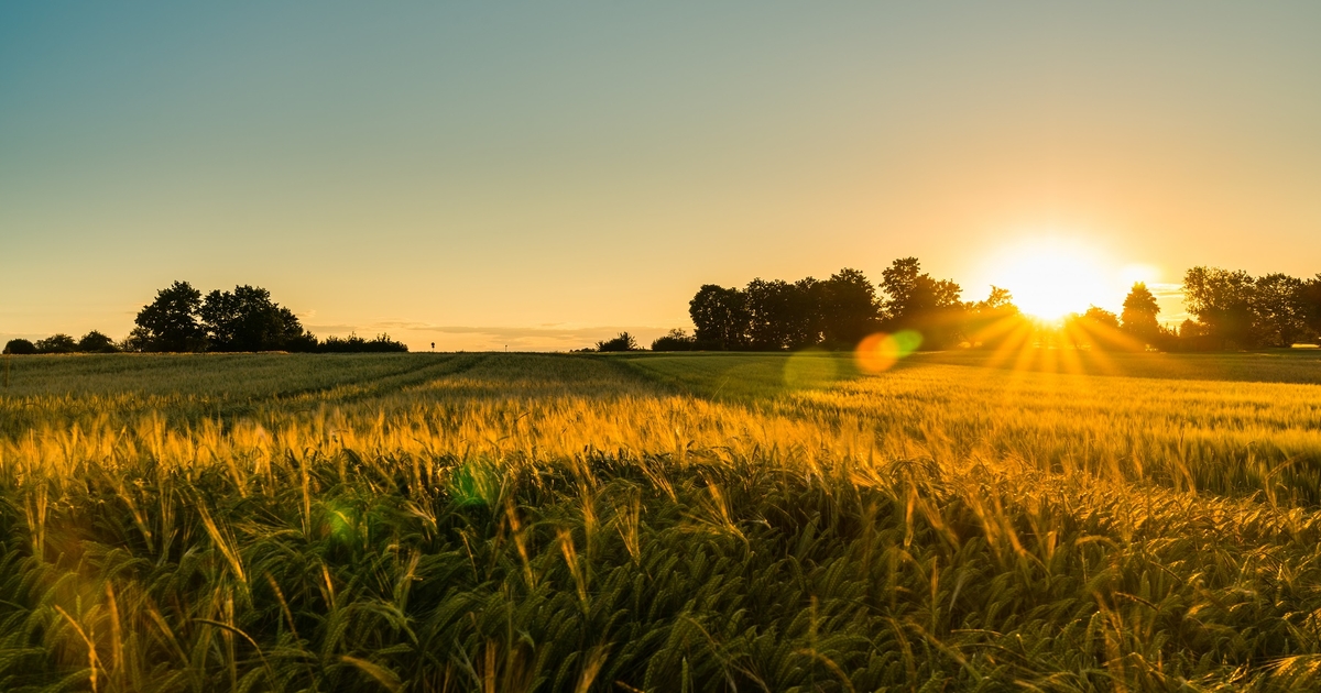 Farm Progress America, June 14, 2024