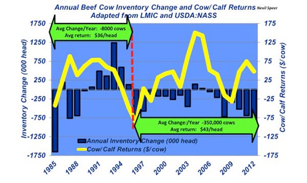 annual beef cow inventory