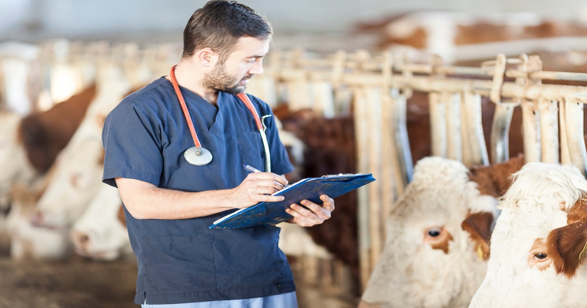 Health certificates as a tool to prevent cattle disease spread