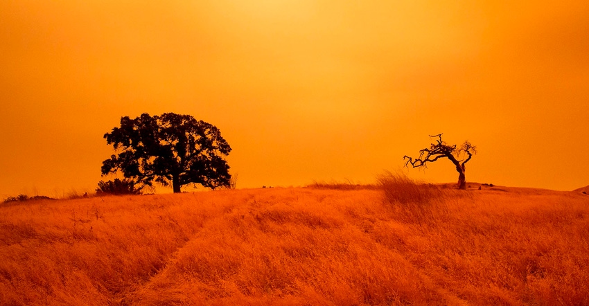 An orange sky filled with wildfire smoke hangs above hiking trails at the Limeridge Open Space in Concord, California, on Sep