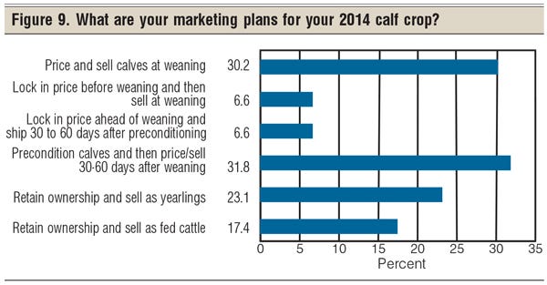 marketing plans for beef cowherd
