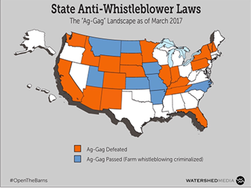 What’s the status of ag gag laws?