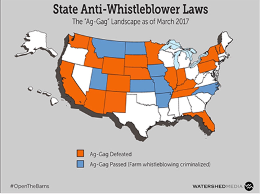 What’s the status of ag gag laws? What’s the status of ag gag laws?