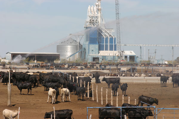Is China a threat to gobble up international agriculture? Is China a threat to gobble up international agriculture?