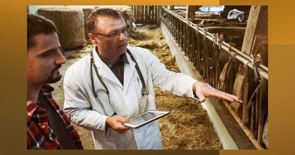 FDA approves KetoMed for fever in cattle with BRD