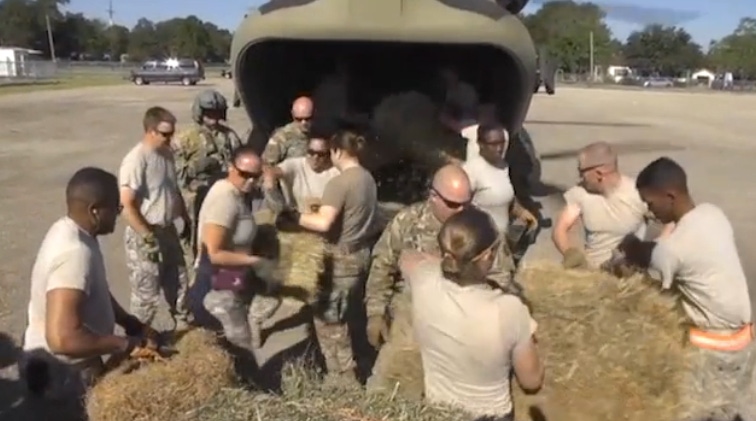 5 Trending Headlines: National Guard feed starving cattle; PLUS; Fake meat coming to a store near you 5 Trending Headlines: National Guard feed starving cattle; PLUS; Fake meat coming to a store near you