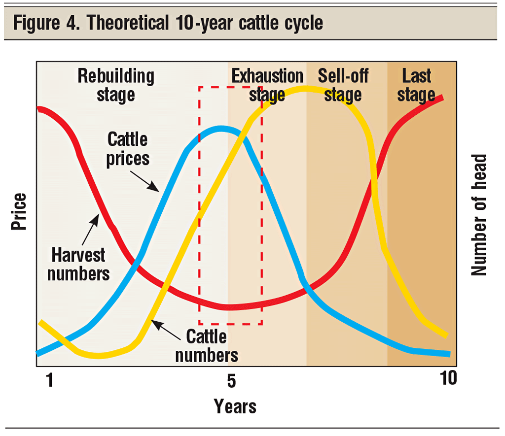 Harlan discount cycle price