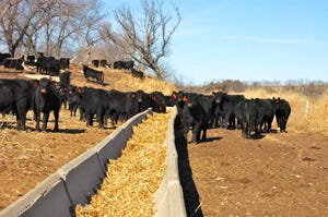 tax planning options for ranchers