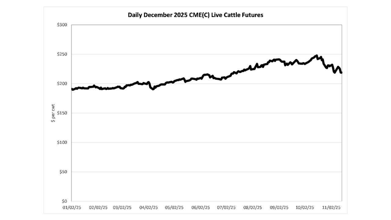 2025년 12월 CME 그래프
