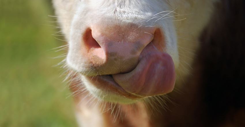 Don’t miss a lick: the benefits of saliva production during weaning Don’t miss a lick: the benefits of saliva production during weaning